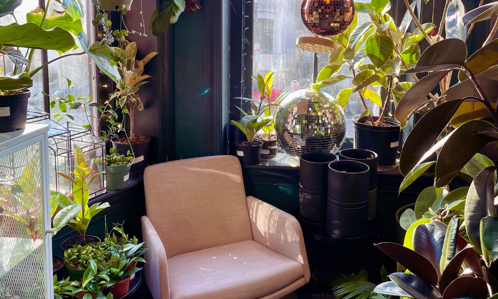 A Dreamy Plant Shop Café for the Soft Girl Era